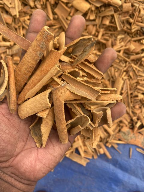 Broken Cassia Cinnamon Yenbai Vietnam Cassia Powder Spices Mixed Yellow Bag Top Vietnam Hot Style Packing Cassia - Image 4