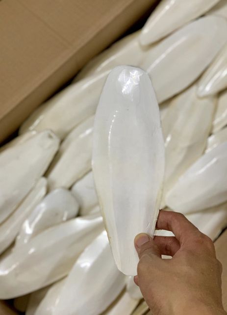Premium Dried Cuttlefish Bone Wholesale Seafood Dried Cuttlefish Bones High Quality Lowest Price 100% Natural Bag Packaging AD - Image 5