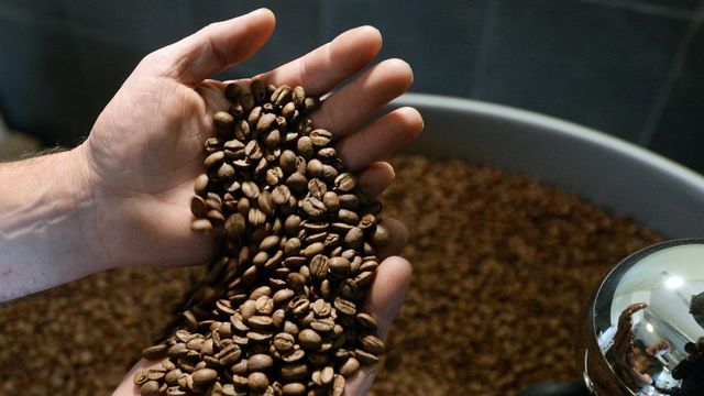 High Quality Vietnamese Freshly Roasted Brown Arabica Coffee Beans Made In Vietnam Export Standard - Image 5