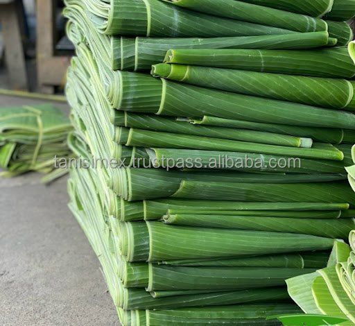 100% Natural Fresh Frozen Banana Leaves Export Banana Leaf Export For Food Grade WhatsApp +84 354987203 (Ms.Mie) - Image 3