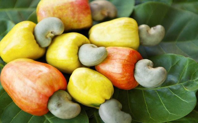 100% Organic roasted cashew nut Premium Snacks - flavoured cashew nuts raw Wholesale - Image 6