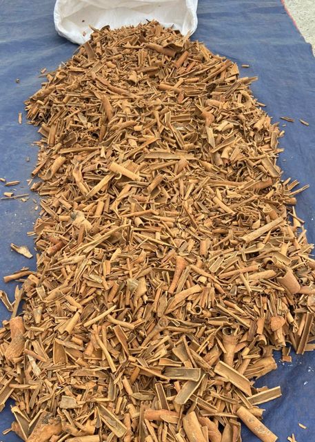 Broken Cassia Cinnamon Yenbai Vietnam Cassia Powder Spices Mixed Yellow Bag Top Vietnam Hot Style Packing Cassia - Image 2