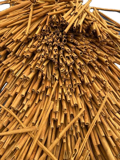 CIGARETTE CINNAMON, Vietnam CASSIA, BEST quality, wholesale price good contact +84 903681947 - Image 3