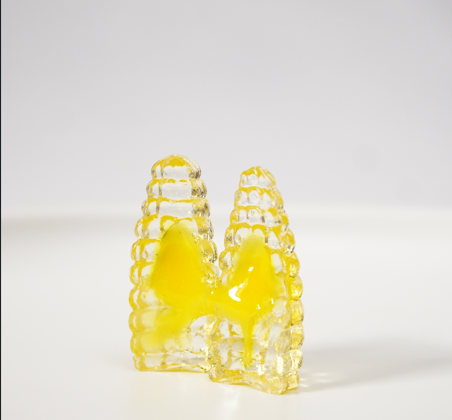 Newest product 4D Gummy corn flavor from natural fresh fruits for kids made in Vietnam manufacture competitive wholesales - Image 2