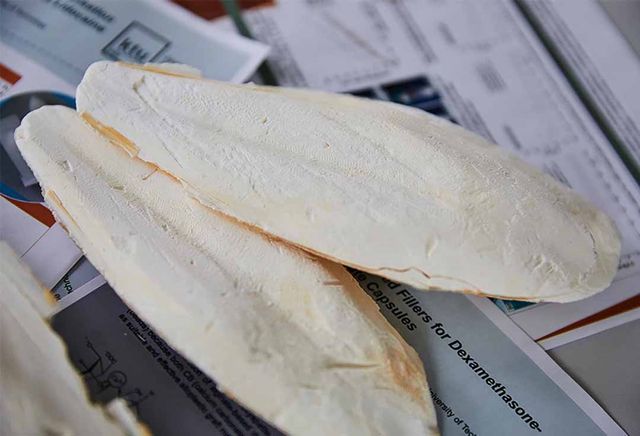 Best White Dried Cuttlefish Bone POWDER Whatsapp 00981758898- Made in Vietnam Organic Natural- Cuttlefish Bone Powder - Image 4