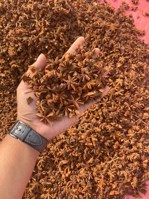 Wholesale Best Price Dried Star Anise Full Flower Best Price Anise Wholesale Anise - Image 3