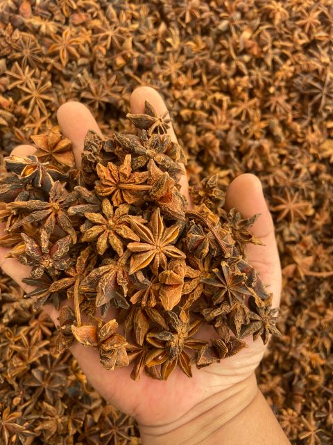 Wholesale Best Price Dried Star Anise Full Flower Best Price Anise Wholesale Anise - Image 2