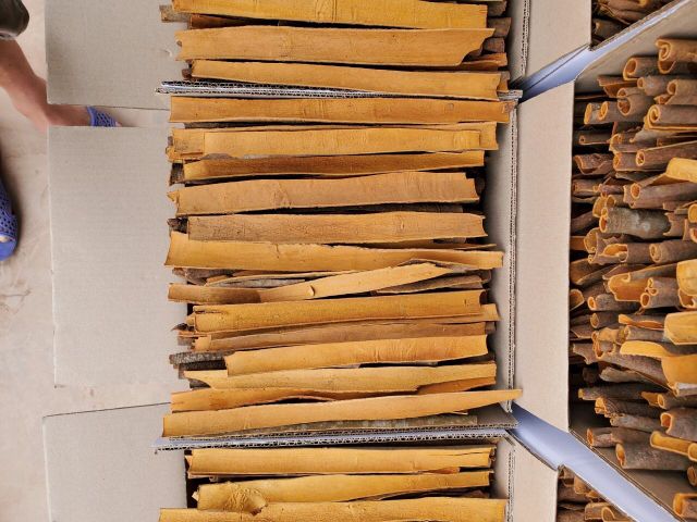 Best Quality Split Cassia Crops from Vietnam Cinnamon Spicy Single Herbs & Spices Dried Raw Natural Brown - Image 3