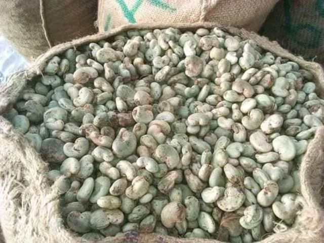 RAW CASHEW NUTS - Image 1