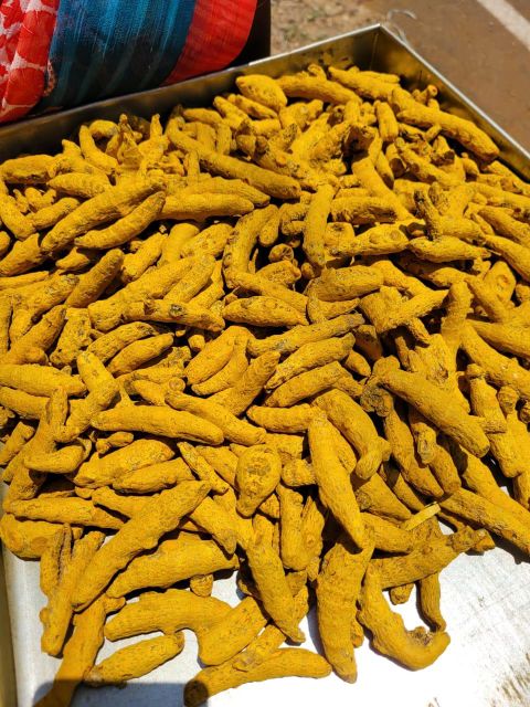 Turmeric finger  – product photo 4, product detail gallery