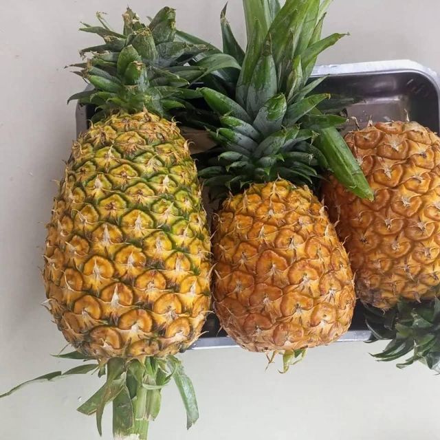 FRESH PINEAPPLE – product photo 3, product detail gallery