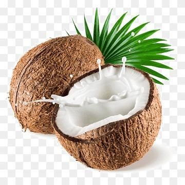 INDIA SEMI HUSKED COCONUT – product photo 2, product detail gallery