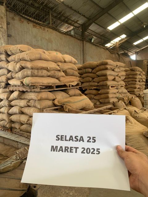 Roasted whole/split Betel Nut Texture Crispy Flavor Rich Aroma Form Whole And Split Drying Process Roasted Packaging Gunny Bag 50 kg - Image 2