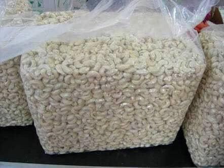 Cashew W240 Export Quality - Image 4
