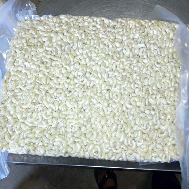 Cashew W240 Export Quality - Image 3