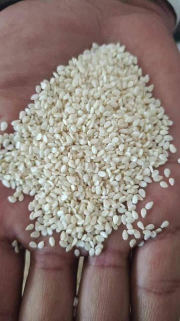 Sesame seeds Grade - Image 2