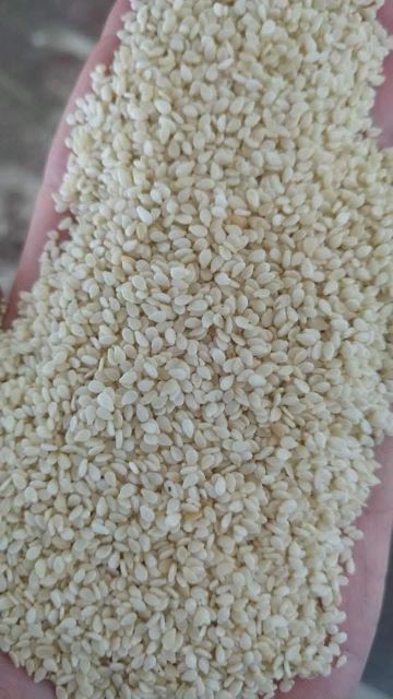 Sesame seeds Grade - Image 1