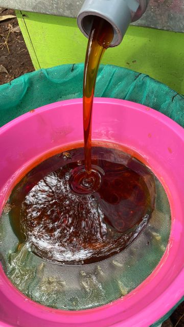 Raw Acacia Honey Grade A Form Liquid Max. Moisture (%) 22 Packaging Jerrycan 50 Kg Place of Origin Indonesia Color Dark Yellow to Red - Image 7