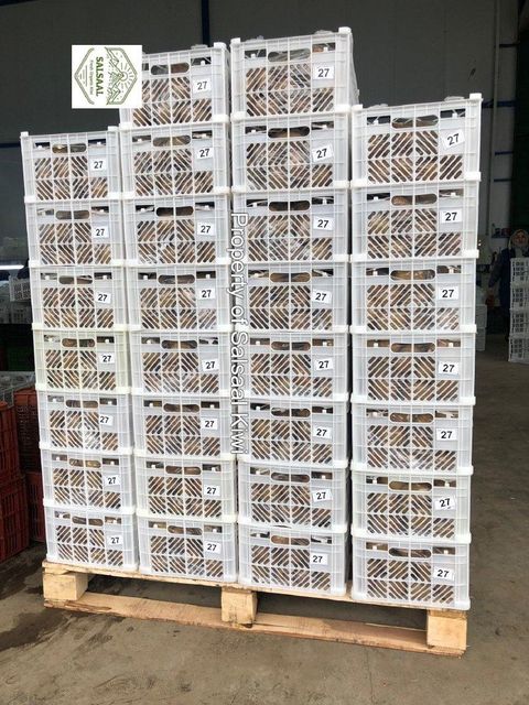 Fresh Organic Kiwi Fruit Size Range 25 To 45 Color Green, Red, Yellow Texture Minimal Fuzz, Smooth Skin Size Note Red Kiwi Is Naturally - Image 3