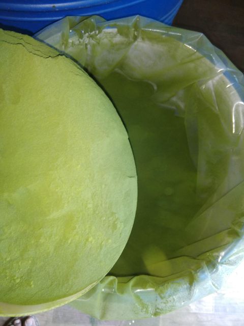 Spirulina Powder Shelf Life 3 years Drying Process spray - Image 2