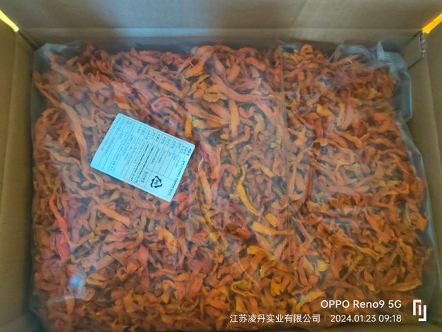 Dehydrated Pumpkin - Image 4