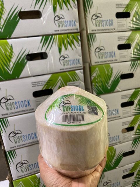 Cheap Fresh green young coconut top quality best price coconut for wholesales made in Ben Tre Vietnam – product photo 5, product detail gallery