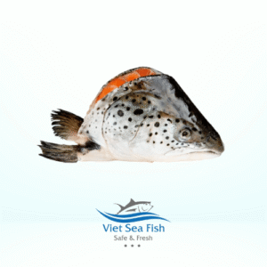 Atlantic Salmon Form Fresh, Frozen Texture Premium Quality Fat Content Rich Fat Belly Cuts Application Creating Various Seafood Recipes, Flavorful Dishes, Premium Cooking And Processing Needs, Various Culinary - Image 8
