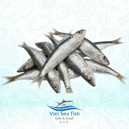 Frozen Sardine Fish Size 20/30 Per Kg, 30-40 Pcs/kg Species Sardinella Aurita/sardinella Longiceps, Sardinops - Image 1