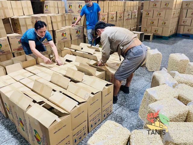 Vietnam exporter Kernel cashews raw nuts Dried cashew nut raw broken cashew nuts Best price - Image 4