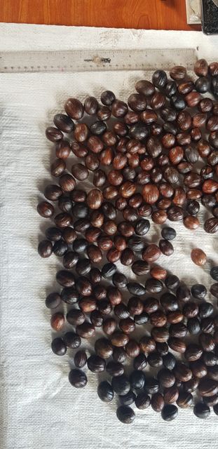 Wholesale Nutmeg Mace High Quality Spice Dried Nutmeg Factory Price Cardamom Whole Nutmeg Sale - Image 5