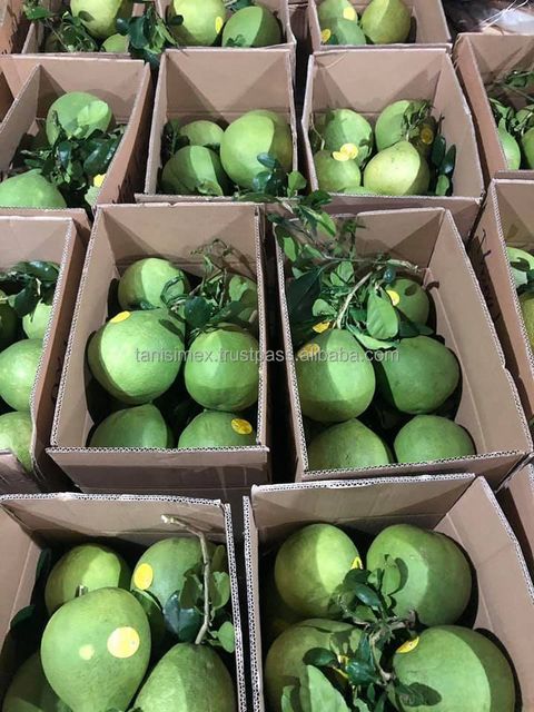 Organic High Grade Sweet Fresh Pomelo From Vietnam Best Wholesale - Image 5