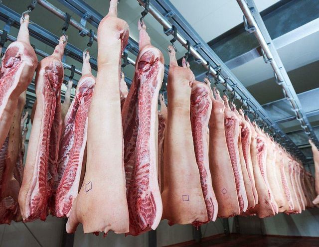 Premium Chilled Goat Meat Carcasses - Image 1