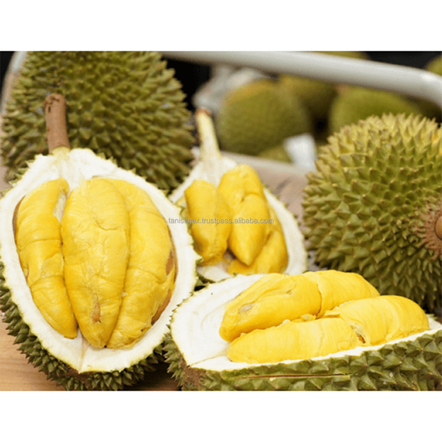 Best Selling Frozen Fresh Ri6/Monthong Durian in Vietnam 2023/ Competitive Price Frozen Fresh Durian – product photo 3, product detail gallery