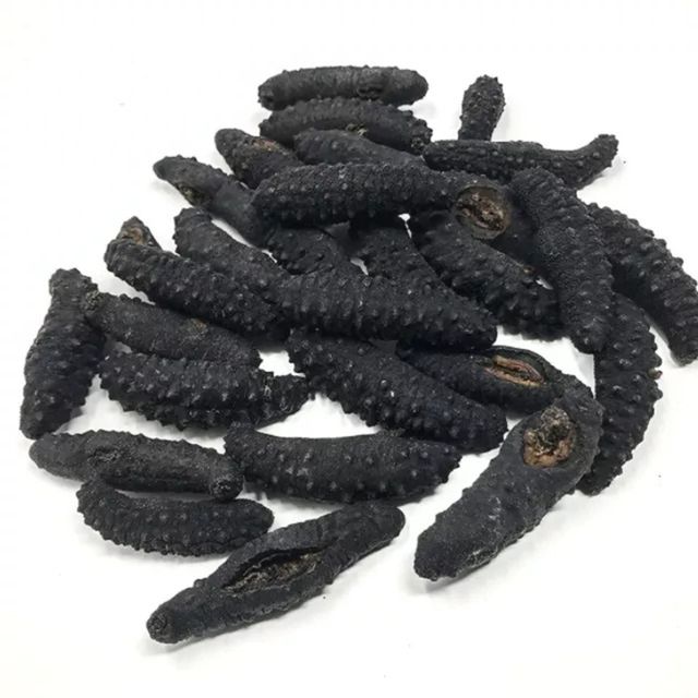 DRIED SEA CUCUMBER IS SELLING WHOLESALES PRICE WITH GOOD QUALITY - Image 6