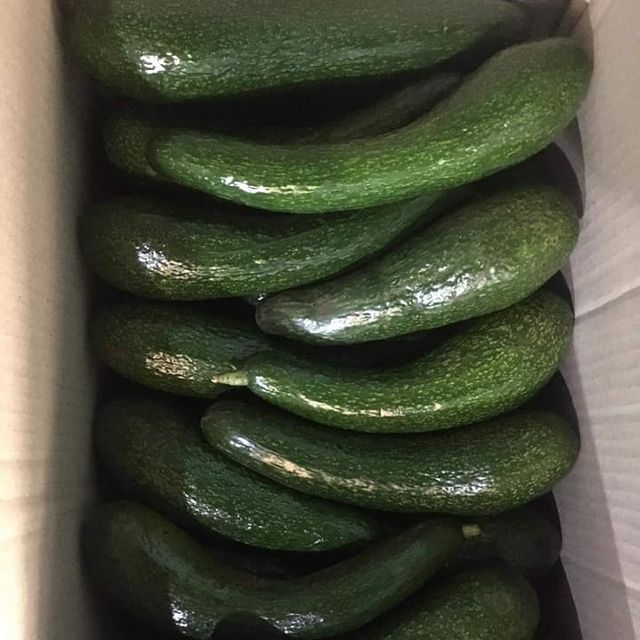 New promotion frozen avocado cube avocado frozen round avocado tropical fruit for sale frozen tropical fruits - Image 5
