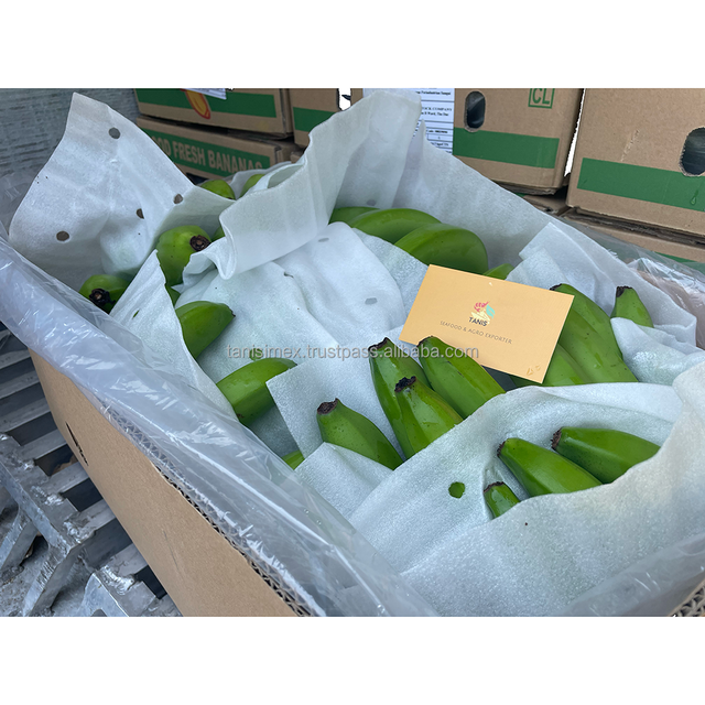 Buy Fresh Green Cavendish Bananas - Best Quality Guaranteed - Image 4