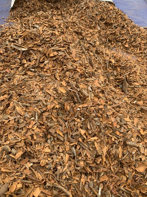 Broken Cassia Cinnamon Yenbai Vietnam Cassia Powder Spices Mixed Yellow Bag Top Vietnam Hot Style Packing Cassia - Image 6