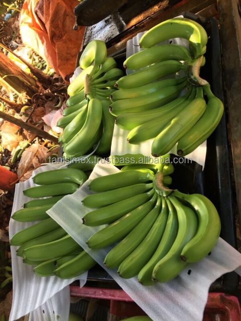 GLOBAL B2B BANANA TRADE - SOURCE THE BEST CAVENDISH VARIETY Grade A Type BANANA Style Fresh Color green Weight (kg) 13 Content - Image 5