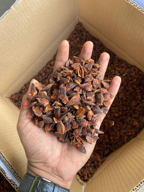 Wholesale Best Price Dried Star Anise Full Flower Best Price Anise Wholesale Anise - Image 6