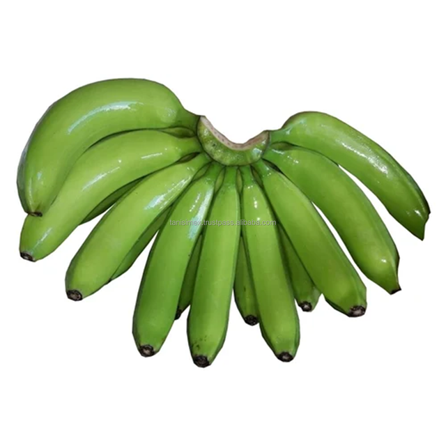 GLOBAL B2B BANANA TRADE - SOURCE THE BEST CAVENDISH VARIETY Grade A Type BANANA Style Fresh Color green Weight (kg) 13 Content - Image 1