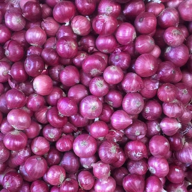 Onion Grade A Grade Type Export - Image 1