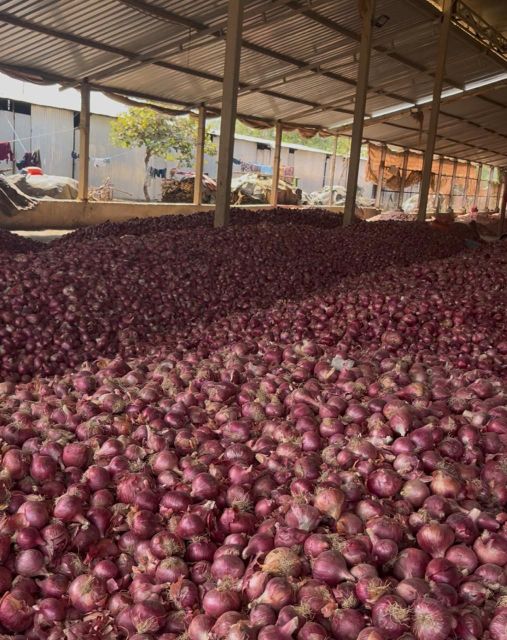 Onions Grade From 25mm-100+mm Place of Origin Nashik, - Image 3