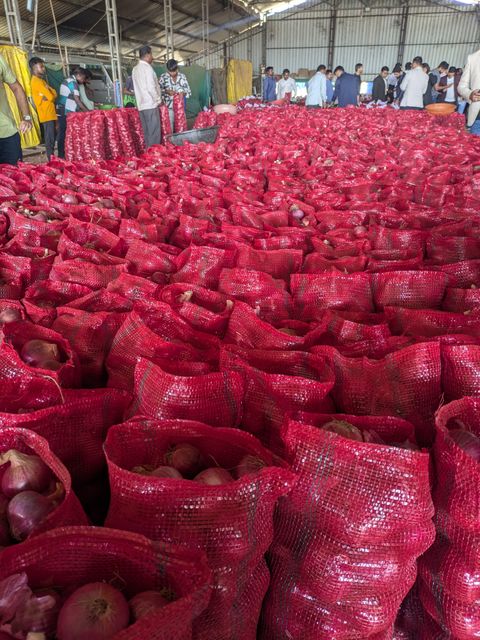 Onions Grade From 25mm-100+mm Place of Origin Nashik, - Image 4