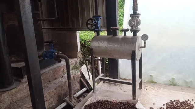 Nutmeg Oil - Image 2