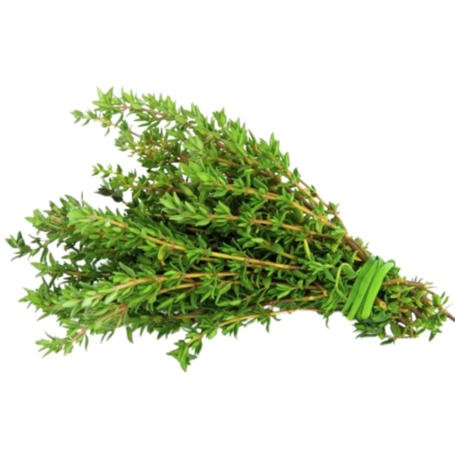 Thyme Origin Mediterranean Climate Flavor Profile Refreshing, Earthy Aroma Type Soft, Sweet, And Sharp Harvest Method Cutting Just Above The Leaf - Image 1