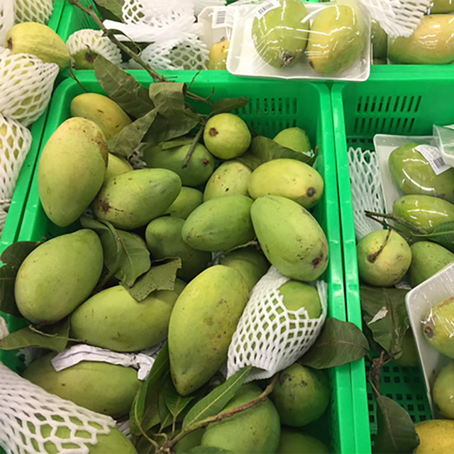 Famous CAT CHU Mango / Guaranteed Sweet and Fresh / Made for Exportation / Quick Response (Ho Chi Minh Port) - Image 4