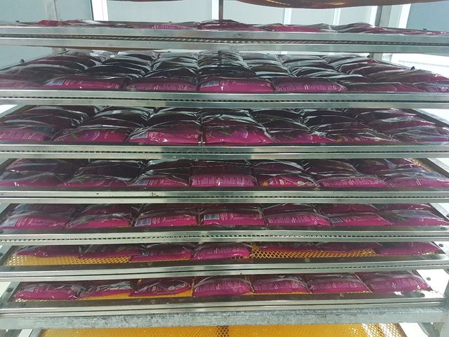 Frozen puree pink PITAYA/ Red dragon fruit from Vietnam (100% ORGANIC) - Image 3