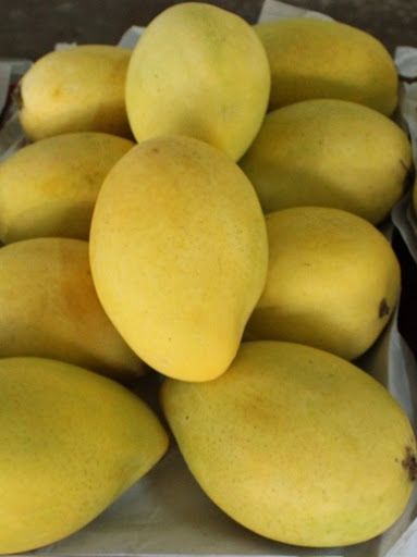 Fresh CAT HOA LOC Mangoes fruit from Vietnam - 100% Organic - Best Price for Export - Pakistani Mangoes - Image 4