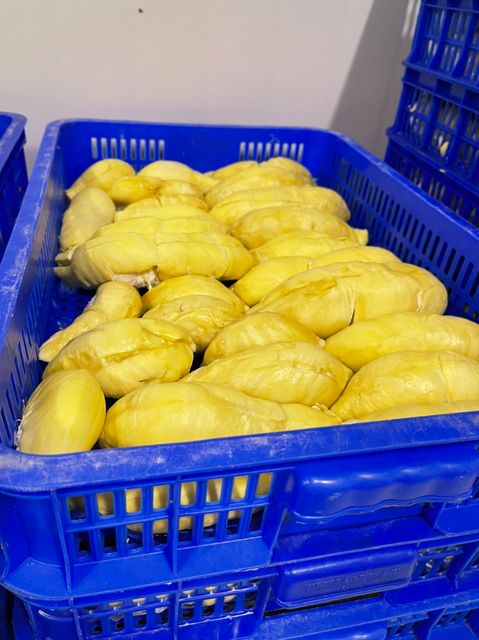FROZEN IQF DURIAN MONTHONG RI 6 HIGH QUALITY FROM VIETNAM WHOLE FRUIT OR 1KG BAG DURIAN MEAT – product photo 2, product detail gallery