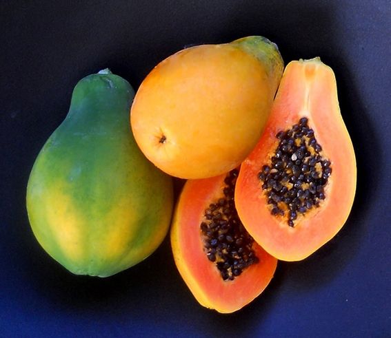 Fresh Papaya Fruit from Vietnam Low price for export 100% High Quality Fruit - Image 4